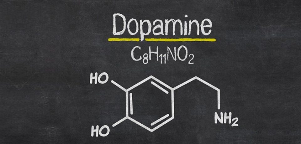 پژوهشگران روش جدیدی برای اندازه گیری دوپامین مغز یافتند