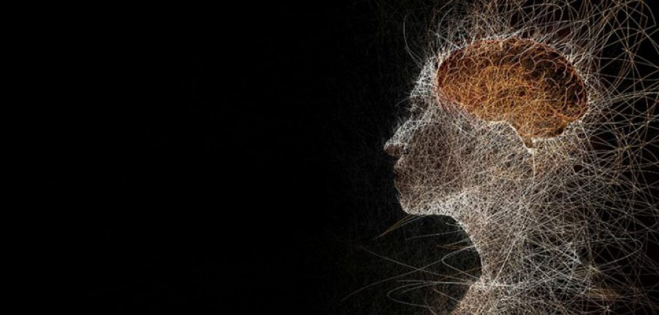 ابزار جدید برای سنجش عقل