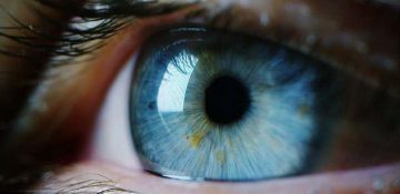 بررسی رابطه میان حرکات چشم و شخصیت با استفاده از هوش مصنوعی