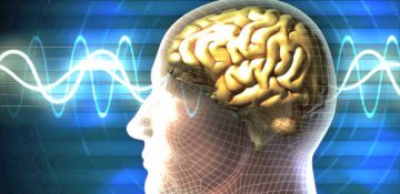 مغز باهوش ها اتصالات نورونی کمتری دارد