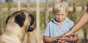چگونه فوبیای حیوانات را در کودکان برطرف کنیم؟