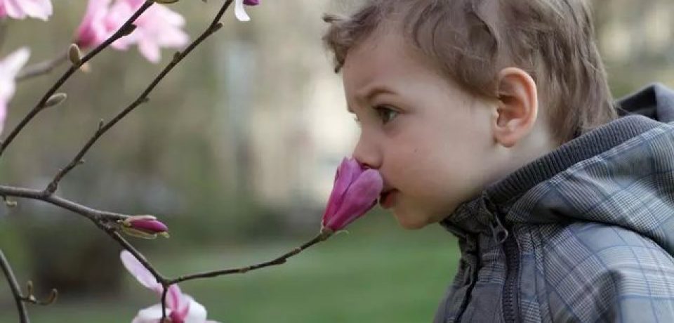 افرادی که بویایی قوی‌تری دارند در مسیریابی بهتر هستند