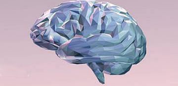 کشف نوعی مدار مغزی که اضطراب را کنترل می‌کند