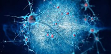 ترمیم آسیب‌های مغزی با تبدیل سلول‌ها به نورون‌های جدید