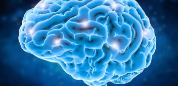 بررسی ویژگی‌های مولکولی اضطراب در مغز