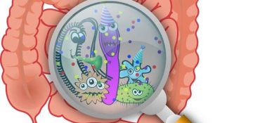 باکتری روده بر مهارت‌های شناختی و زبانی کودکان اثر می‌گذارد!