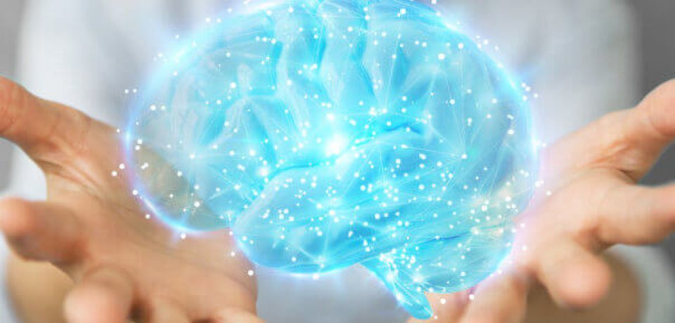 کشف چگونگی سازماندهی اطلاعات معنایی در مغز!