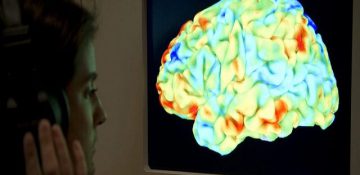 شناسایی نقش جدید ماده سفید مغز توسط محققان