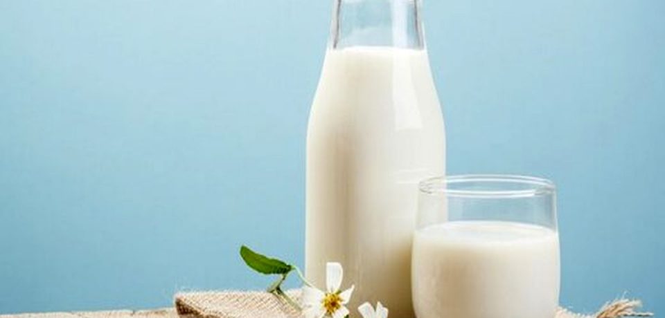 نوشیدن یک لیوان شیر گرم قبل از خواب؛ مفید یا مضر؟