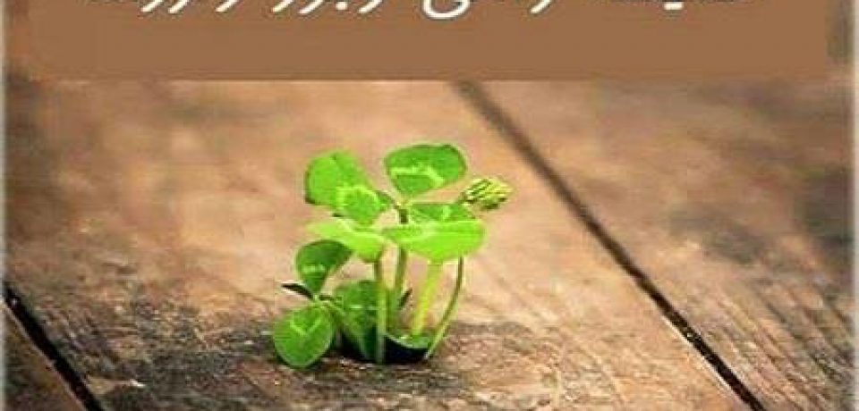 مردم به مسئله سلامت روان به عنوان یک ضرورت نگاه نمی‌کنند