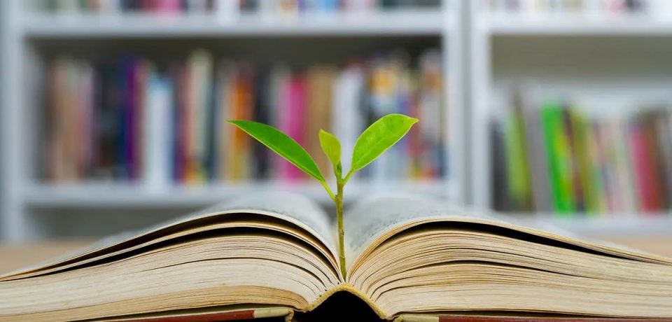 چگونه کتاب‌ خواندن جامعه را امن‌تر می‌کند؟