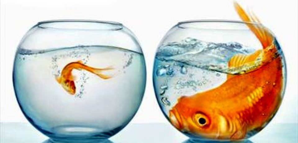 خودمان را با دیگران مقایسه کنیم یا نه؟