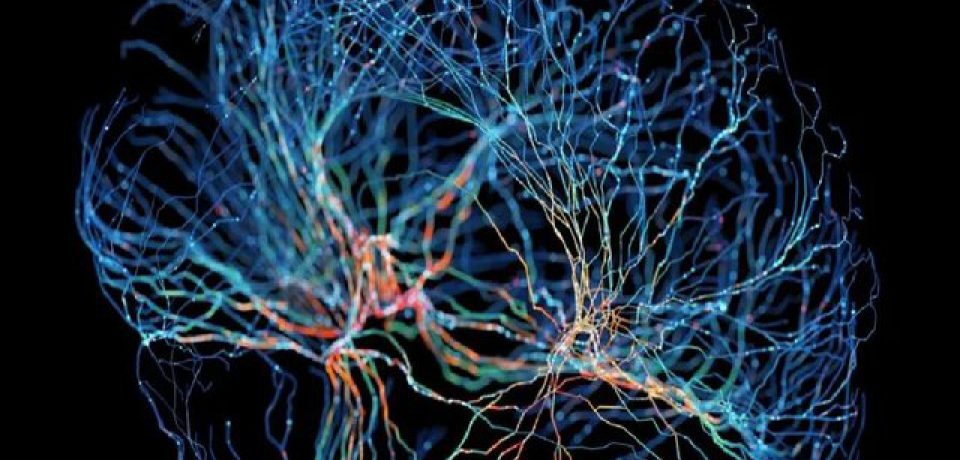 حل‌وفصل برخی منازعات مهم در فلسفه روانشناسی و علوم اعصاب